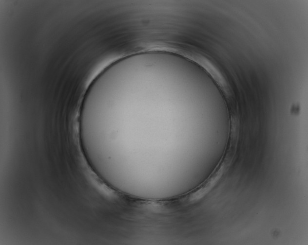 X0000101190814200807181510