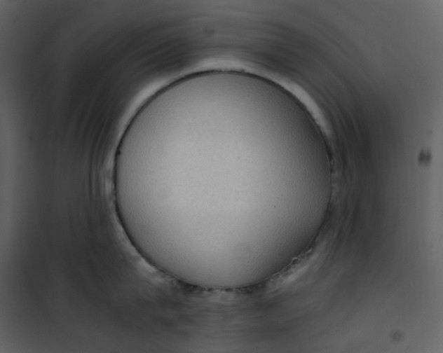 X0000101190815200807181510