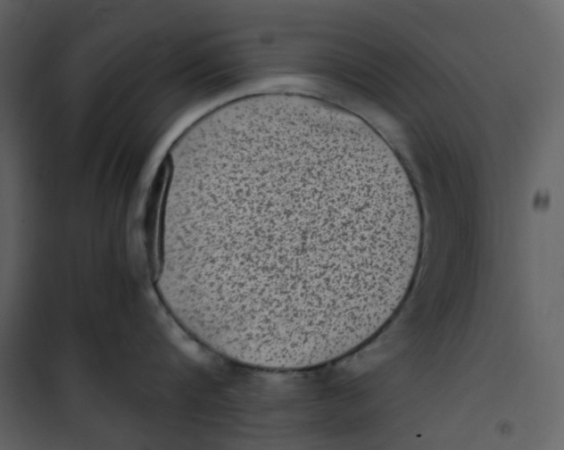 X0000101190816200807181510