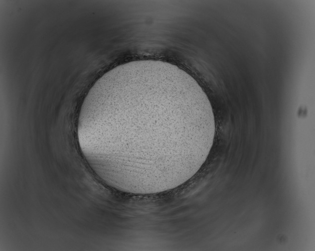 X0000101190817200807181509