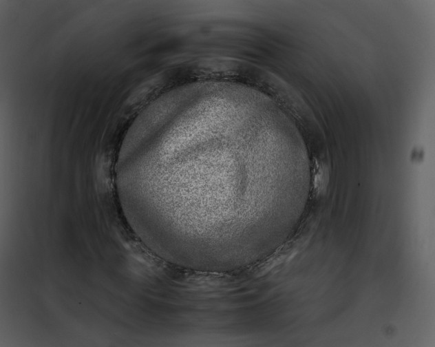 X0000101190819200807181509