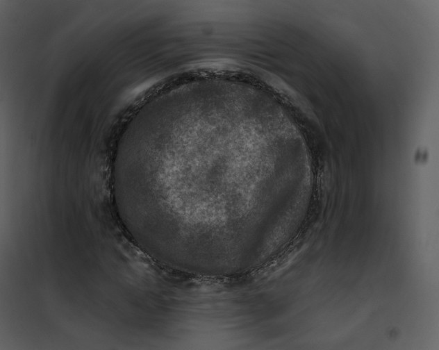 X0000101190822200807181509