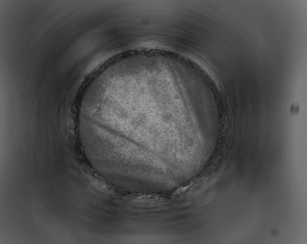 X0000101190823200807181509