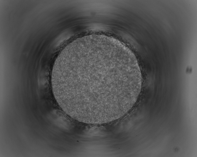X0000101190824200807181509