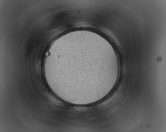X0000101190825200807181509