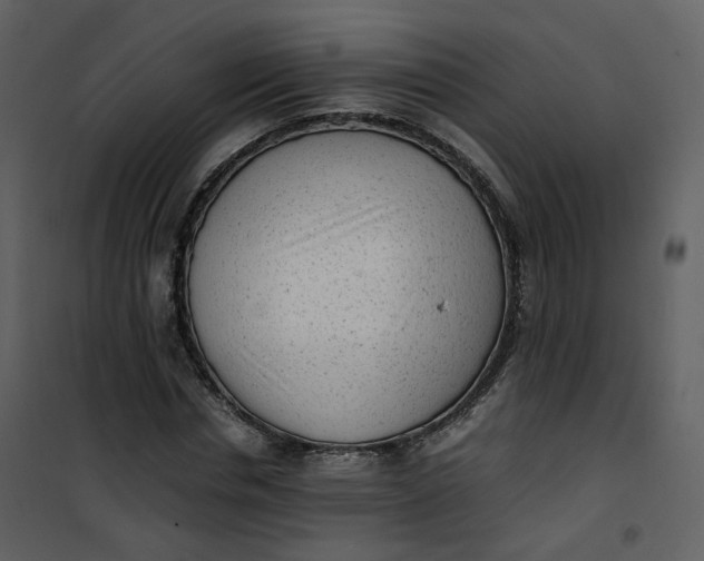 X0000101190826200807181509