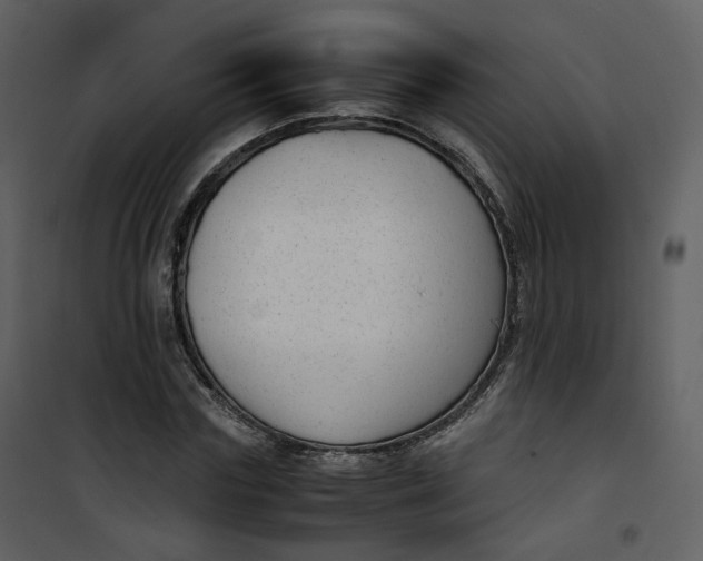 X0000101190827200807181509