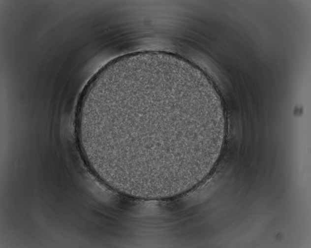X0000101190828200807181509