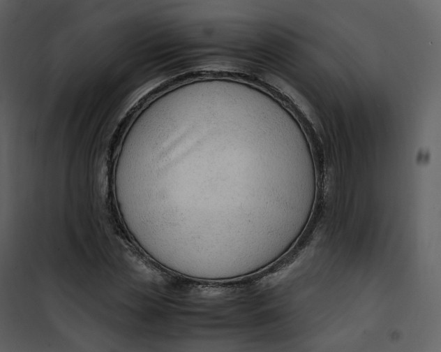 X0000101190829200807181509