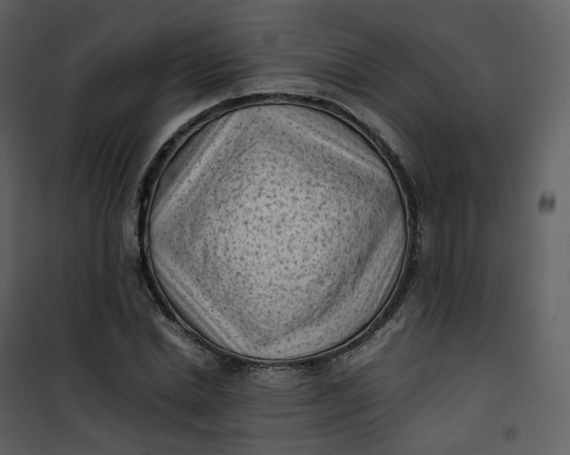 X0000101190830200807181509