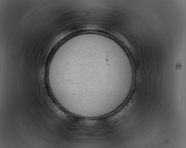 X0000101190831200807181509
