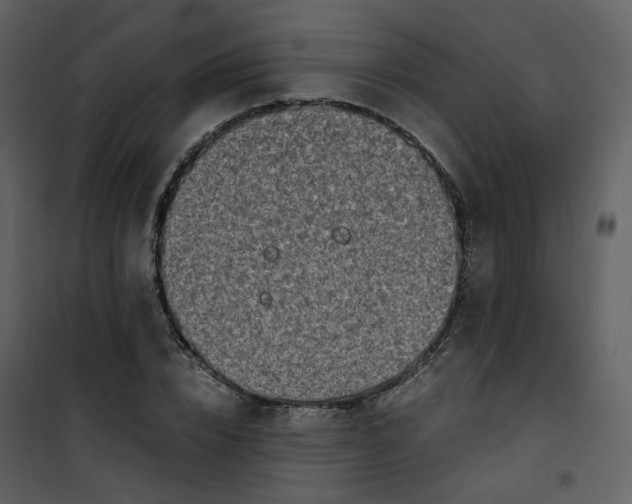 X0000101190832200807181509