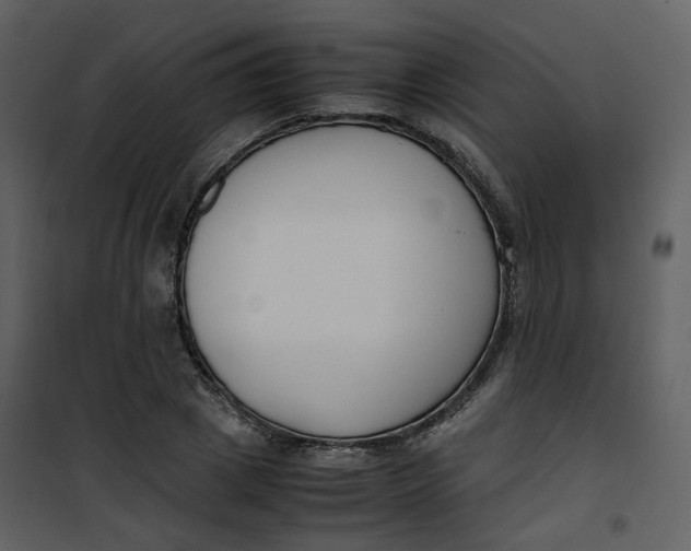 X0000101190833200807181509