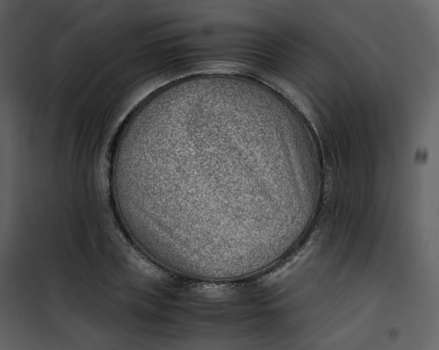 X0000101190835200807181509