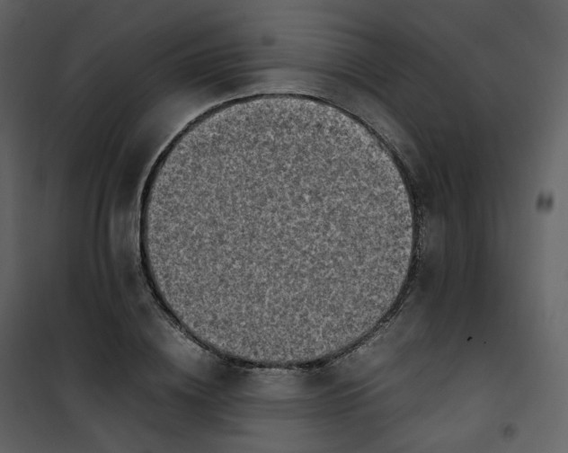 X0000101190836200807181509