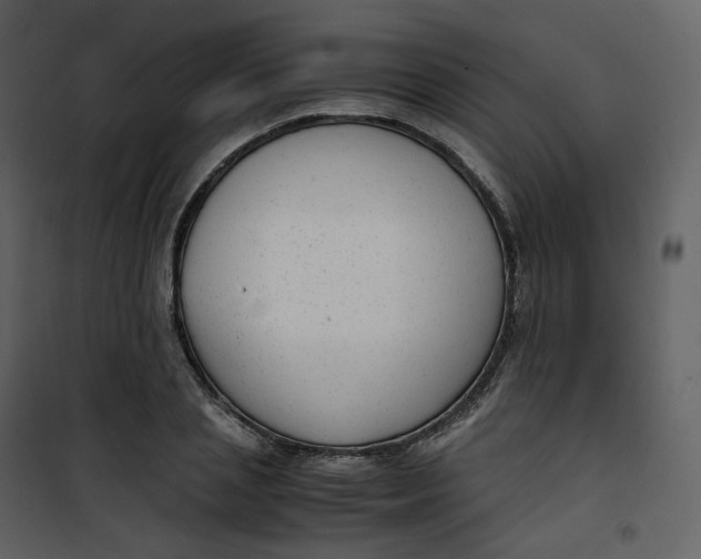 X0000101190837200807181509