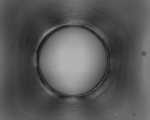 X0000101190838200807181509