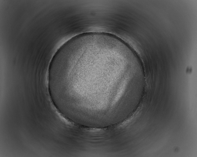 X0000101190839200807181509