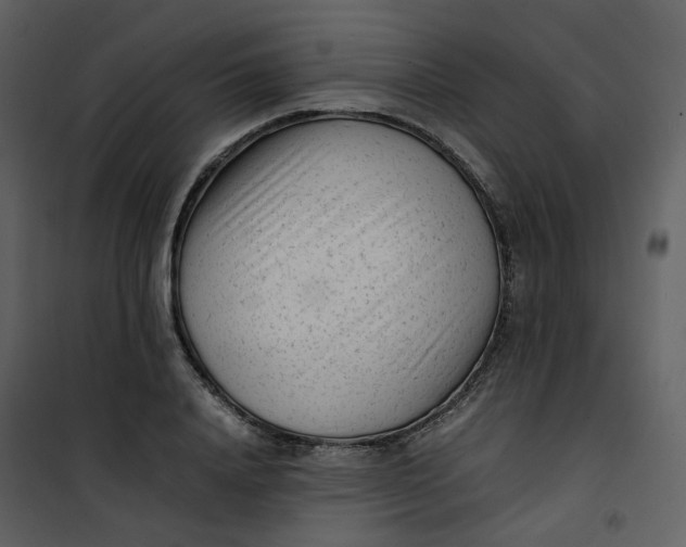 X0000101190840200807181509