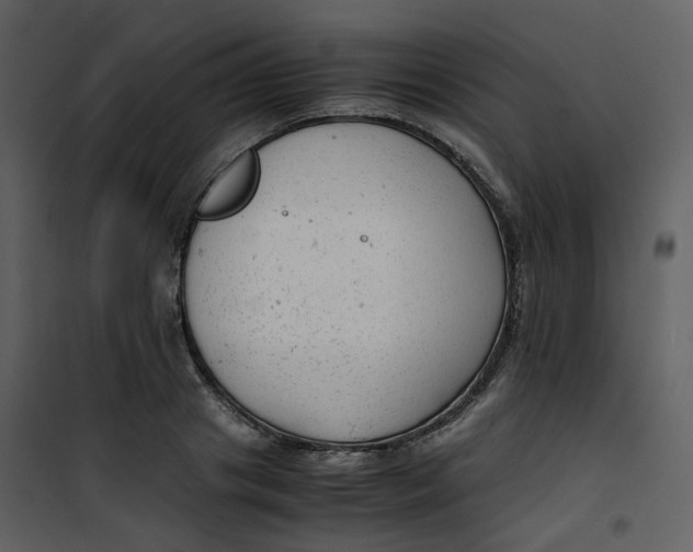 X0000101190841200807181509
