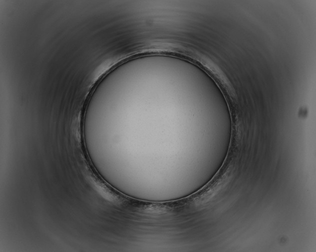 X0000101190842200807181509