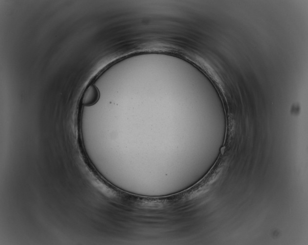 X0000101190843200807181509
