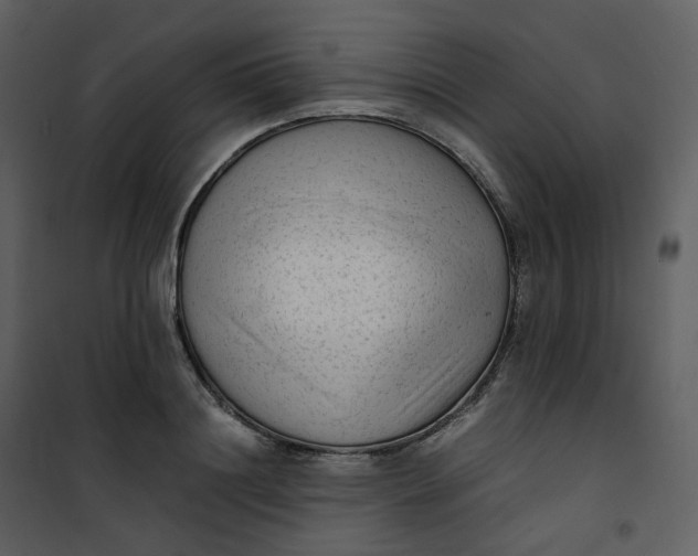 X0000101190844200807181509