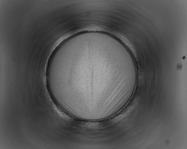 X0000101190845200807181509
