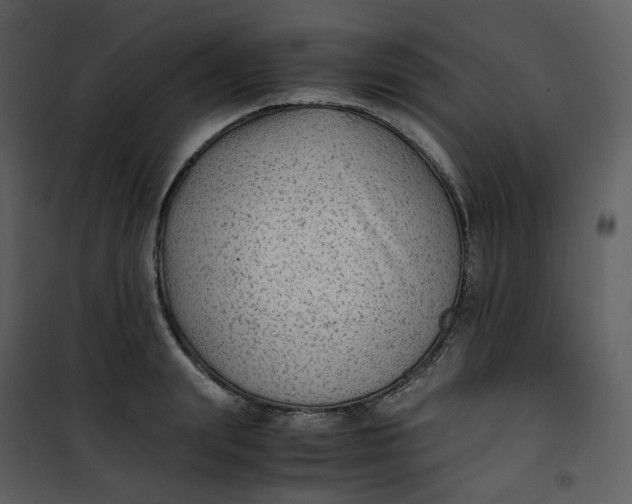 X0000101190847200807181509