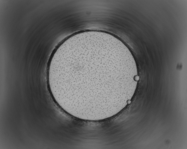 X0000101190848200807181509
