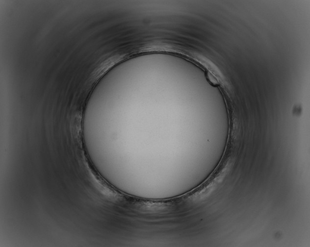 X0000101190849200807181509