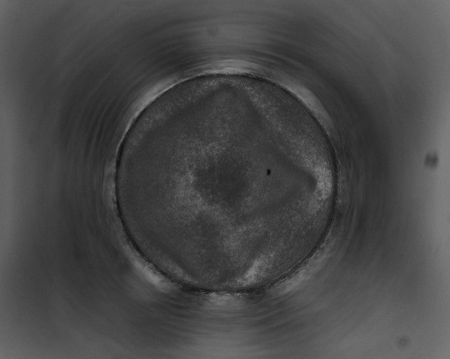 X0000101190850200807181509