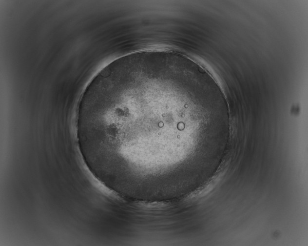 X0000101190851200807181509