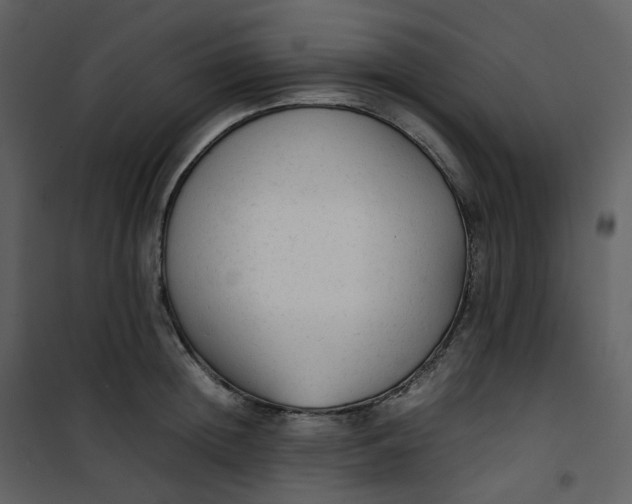 X0000101190852200807181509