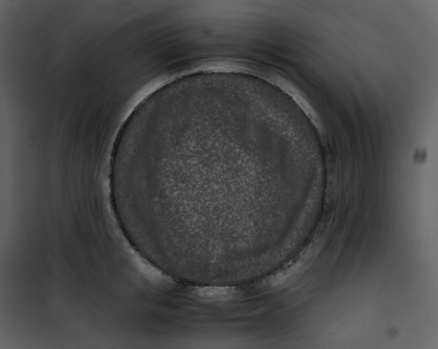X0000101190853200807181509