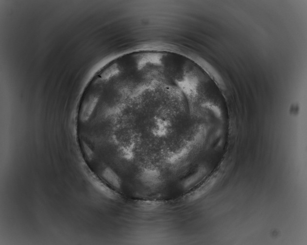 X0000101190854200807181509