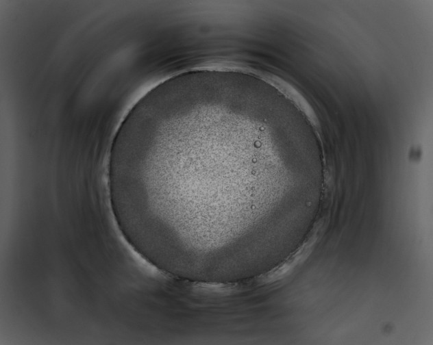 X0000101190855200807181509