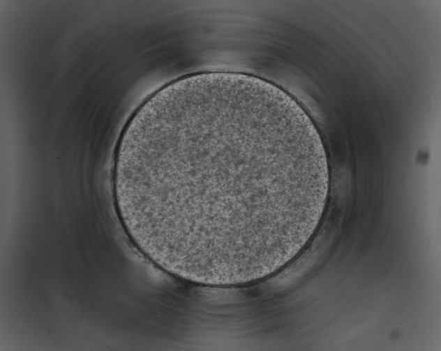 X0000101190856200807181509