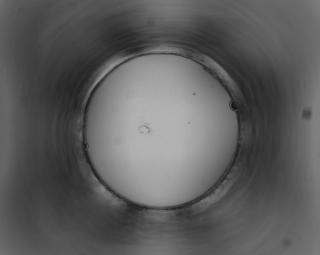 X0000101190860200807181510