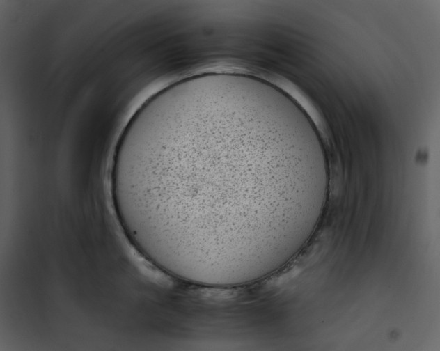 X0000101190861200807181510