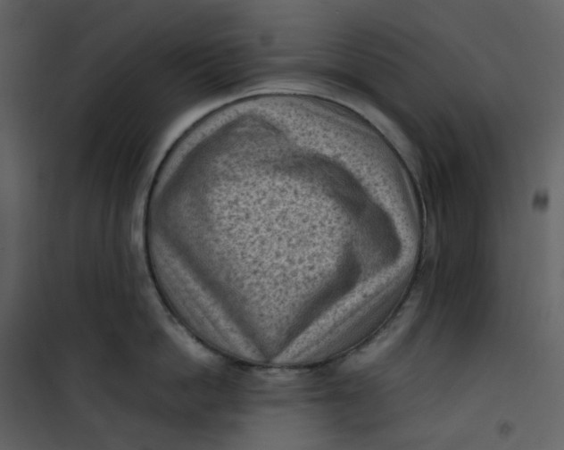 X0000101190862200807181510