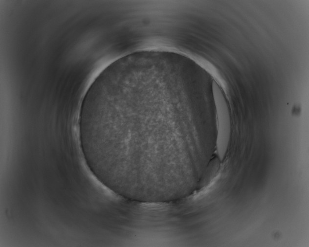 X0000101190863200807181510