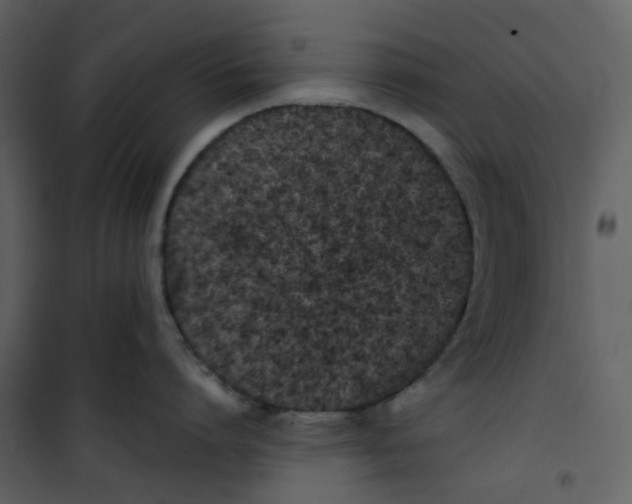 X0000101190864200807181510