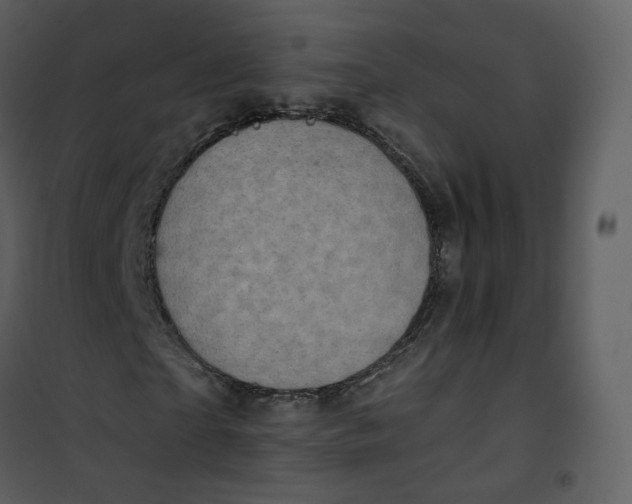 X0000101190865200807181509