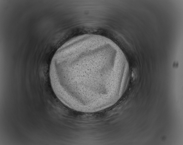 X0000101190867200807181509