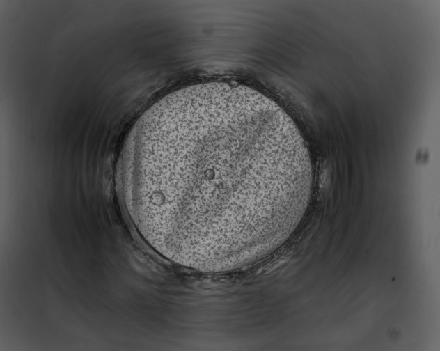 X0000101190868200807181509