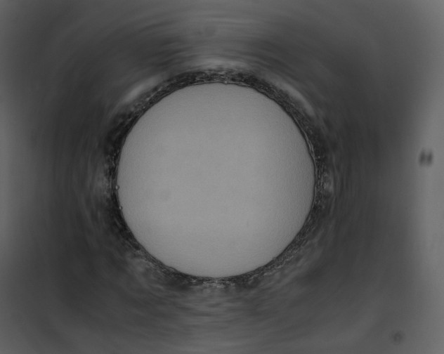 X0000101190869200807181509