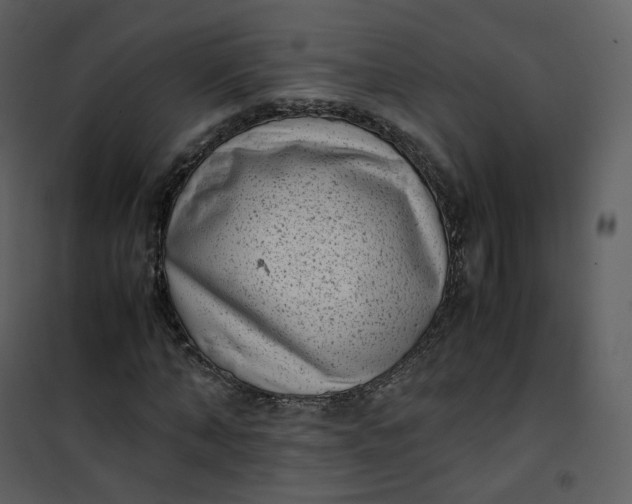X0000101190870200807181509