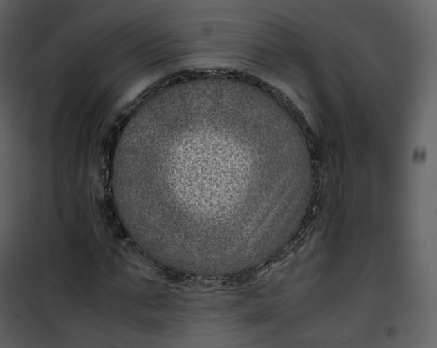X0000101190871200807181509