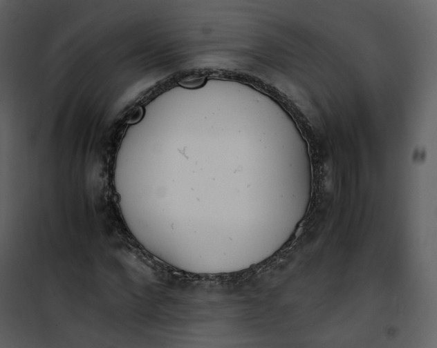 X0000101190872200807181509